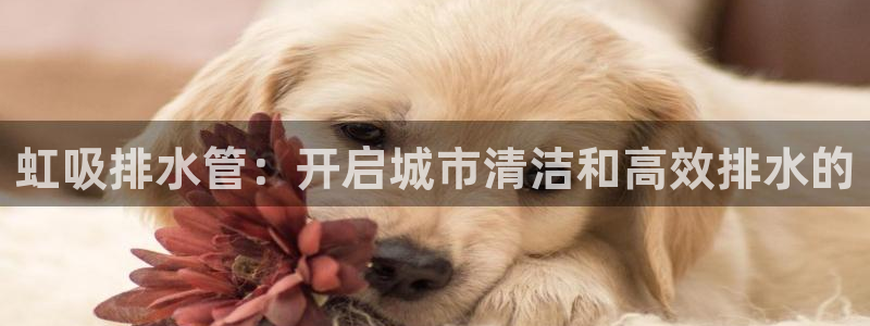威九国际入囗