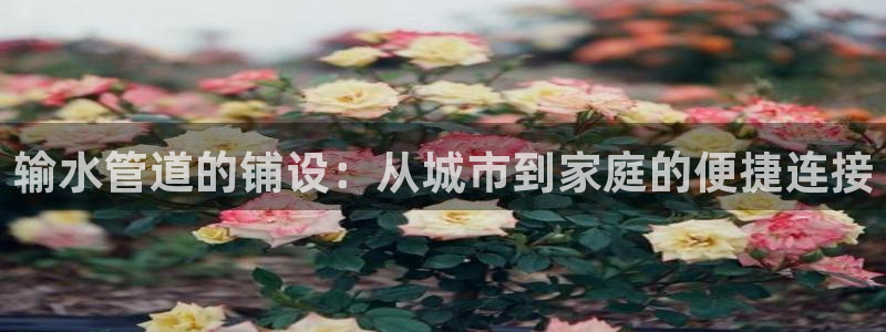 威九国际78m域名