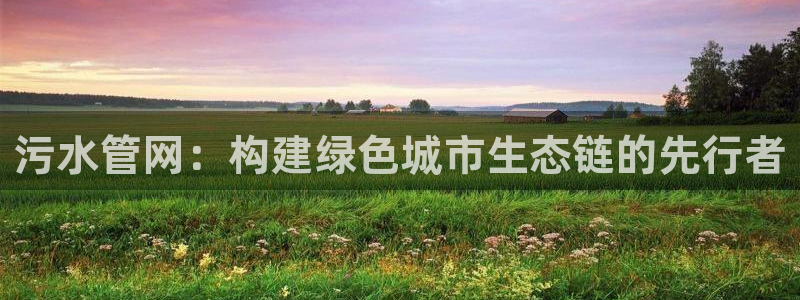 威九国际空降服务怎么样
