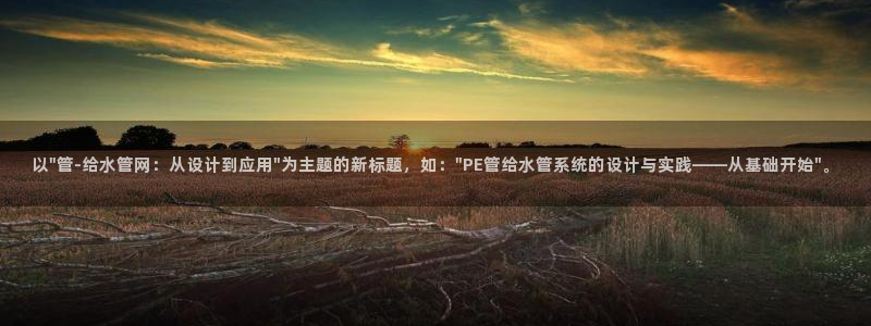 66m威九国际精选