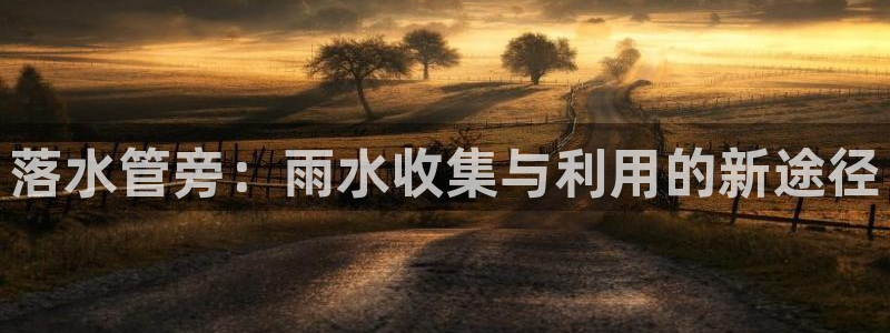 威九国际的金融服务有哪些