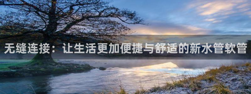 威九国际m78