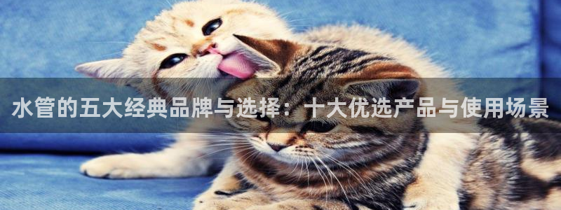 威九国际78m九妹