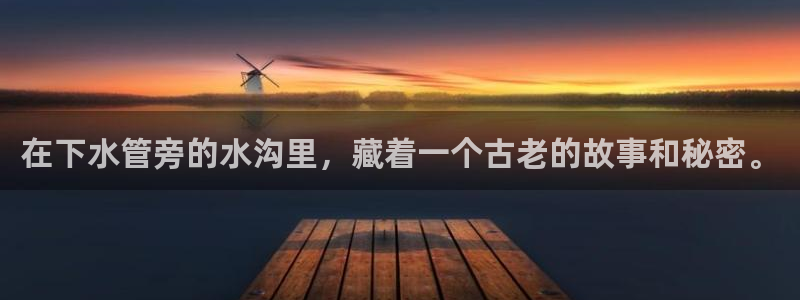 威九国际真人游戏