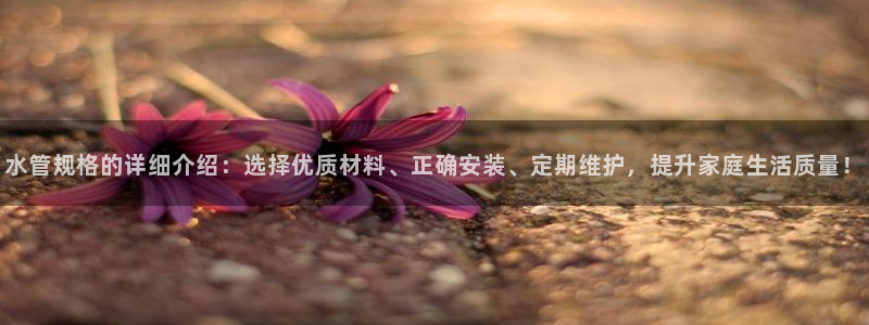 威九国际地址