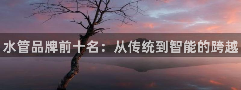 威九国际免费版