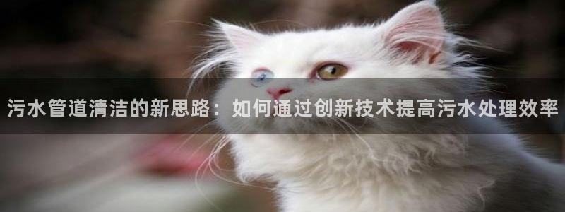 威九国际免费