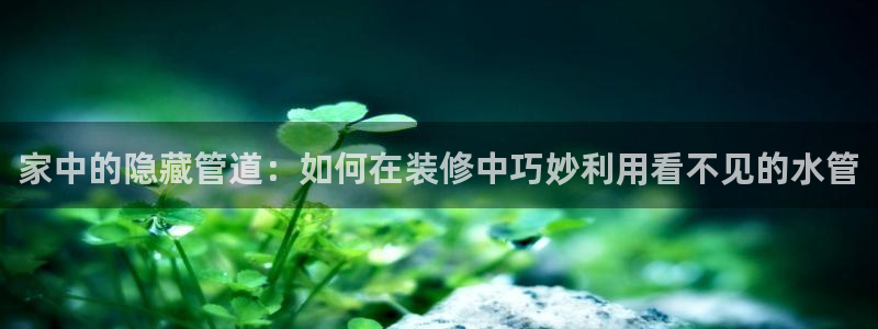威九国际网站在哪里