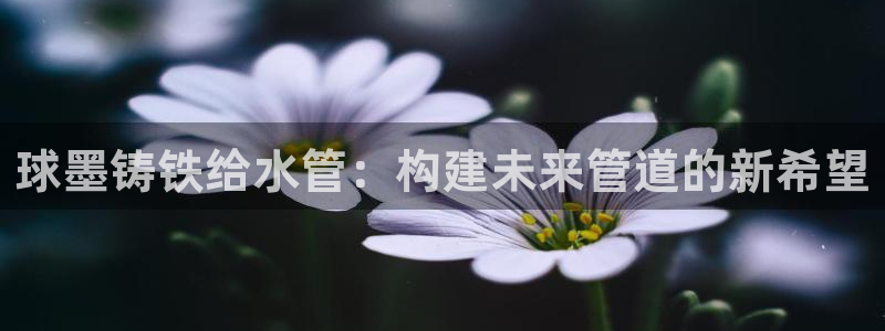 威九国际视频传媒招聘