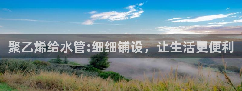 威九国际网站客服电话多少号码