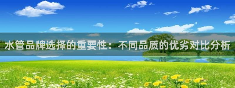 66m威九国际精选