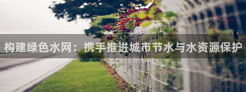 威九国际66m66大陆