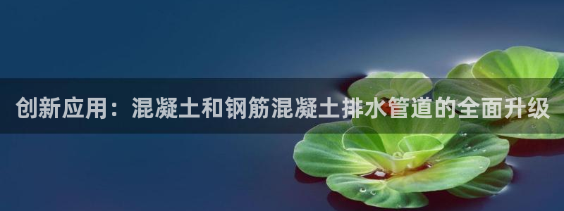威九国际网站怎么样