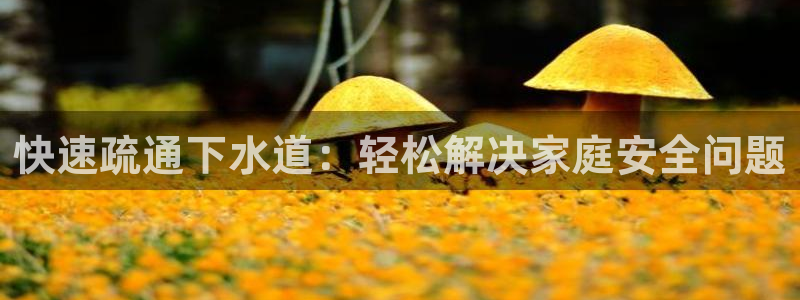 威九国际网站入口地址