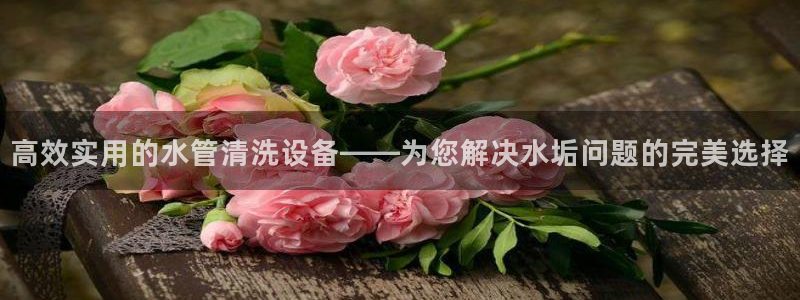 威九国际ppt免费下载