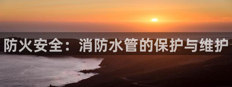 威九国际男演员