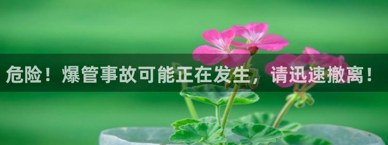 威九国际电视怎么样