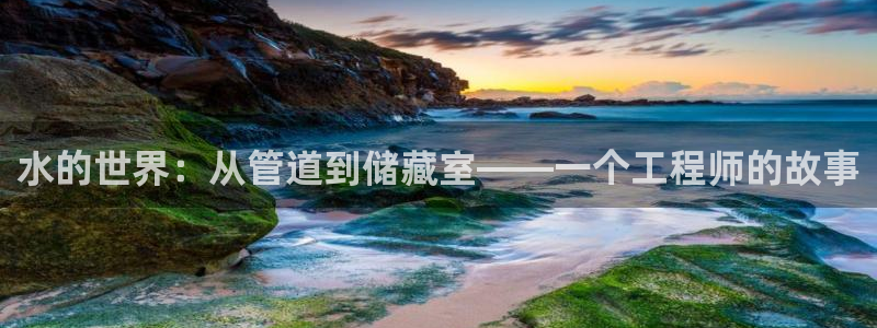 威九国际精选