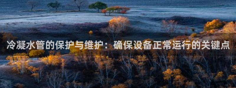 威九国际78mob游戏说明