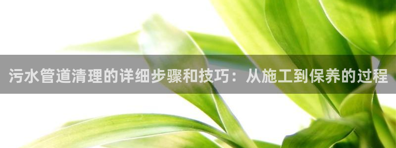 威九国际小说