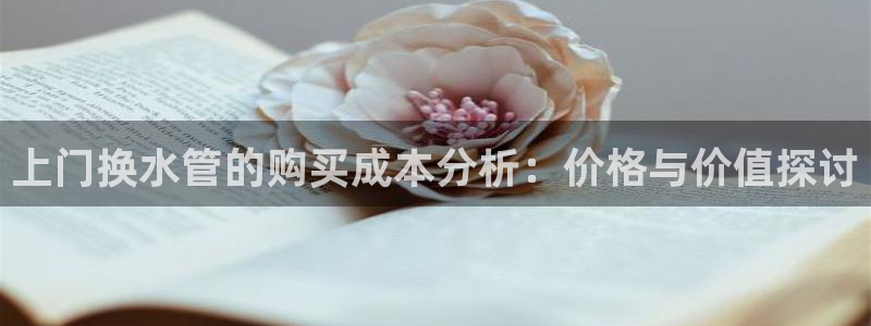 威九国际ft