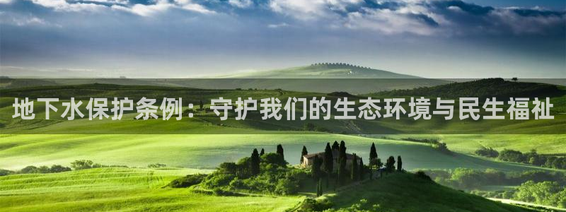 威九国际网页看视频弹窗的广告拦截插件