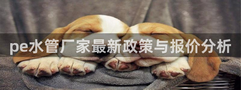 威九国际客服电话号码是多少