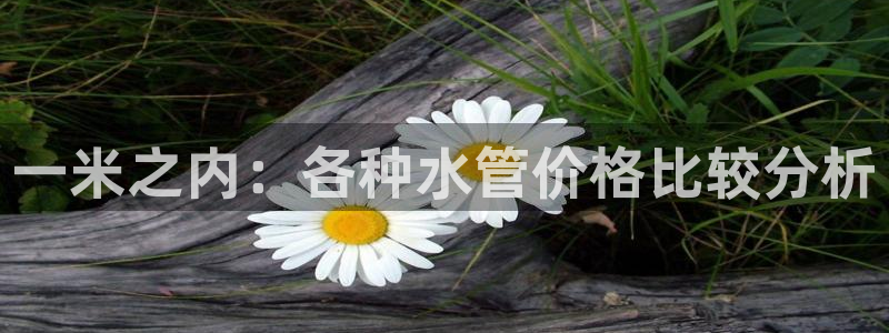 威九国际78m域名