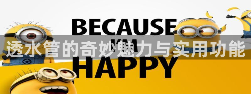 威九国际78mb玩法