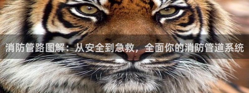 威九国际78mob游戏亮点