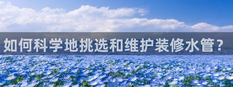 威九国际能提现吗