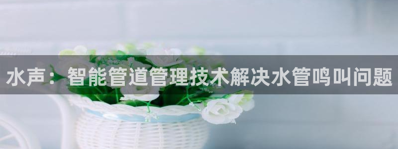 威九国际女明星