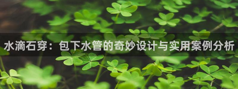 威九国际网站进入AB,AB