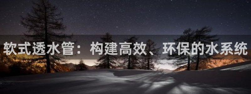 威九国际网站入口官网首页下载