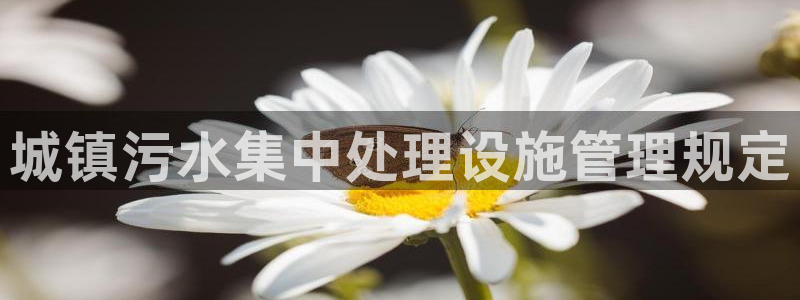 威九国际v9