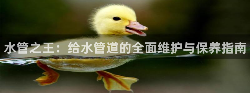威九国际电视怎么样