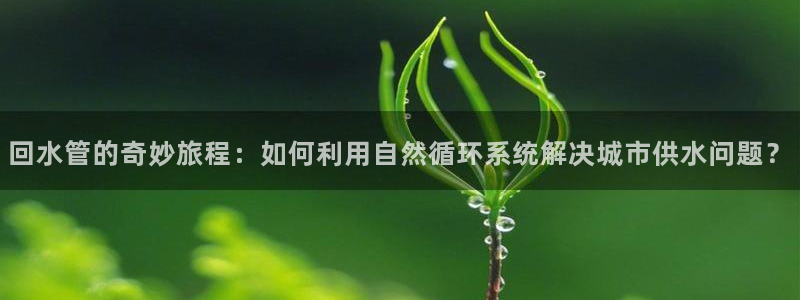 威九国际78mb官网版