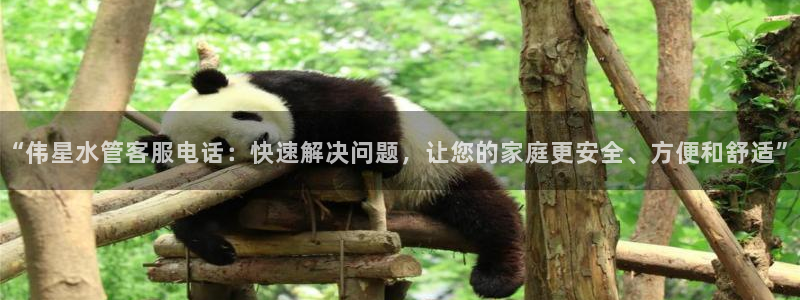 威九国际能提现吗现在