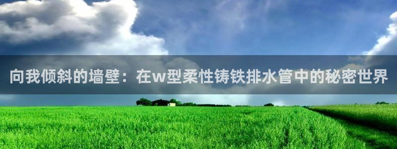 威九国际国精彩片段