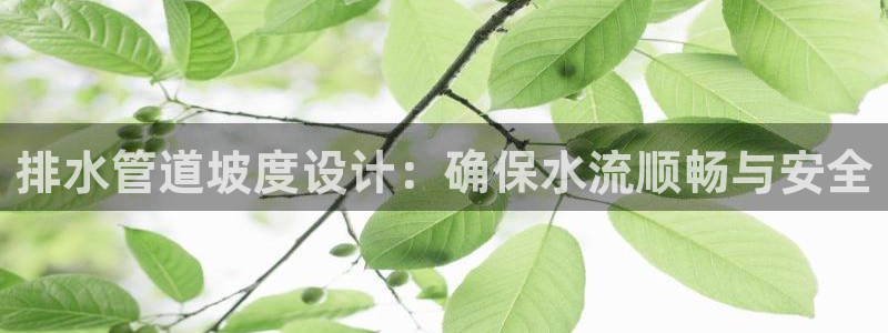威九国际官方网站