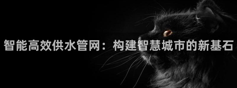 威九国际Sxsx