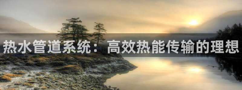 威九国际66m66官网