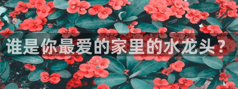 威九国际m78
