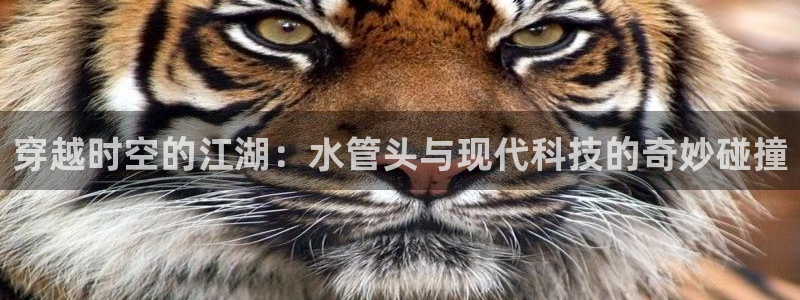威九国际演员名单