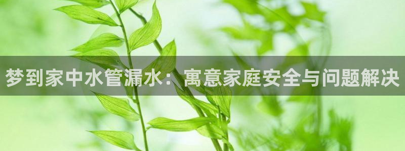 威九国际78mb官网