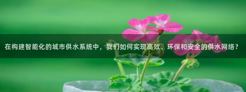 威九国际v96 bet会黑吗