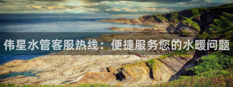 威九国际女主角