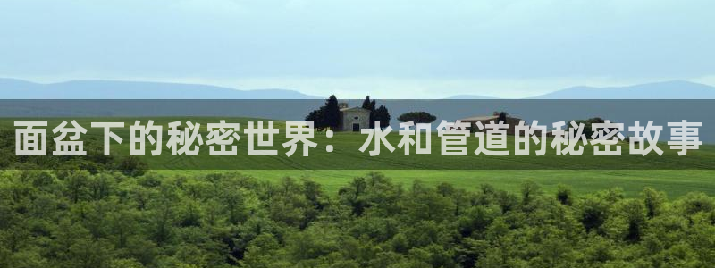 威九国际官网版