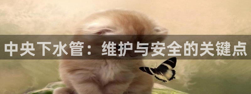 威九国际78mb官网