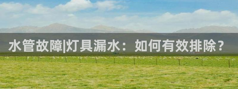 威九国际app网站